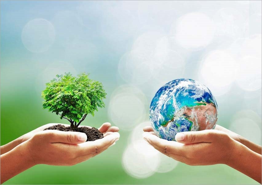 Triển khai Tháng tổng vệ sinh, khử trùng, tiêu độc môi trường đợt 1 năm 2026